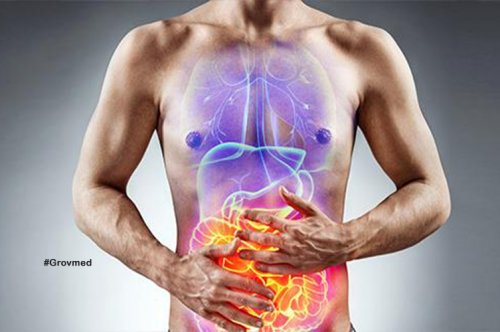 Digestion Problem? Try These Foods